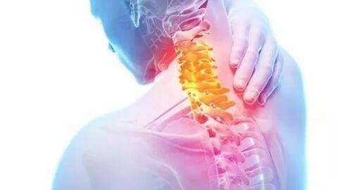Long Mạch Chỉnh Cốt Pháp – Tuyệt kỹ phục hồi cấu trúc cơ thể và tái lập trục vận động tự nhiên