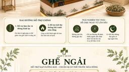 NGỒI ĐIỀU HÒA CHÍN TIẾNG MỖI NGÀY: CƠ THỂ NHIỄM HÀN NẶNG NHẤT
