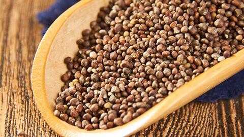 Sa Uyển Tử – dược liệu bổ thận cố tinh và dưỡng can minh mục