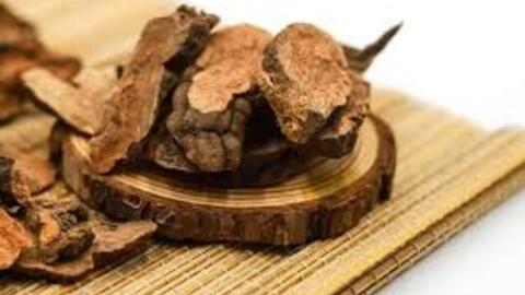 Hà thủ ô hoàn – phương thuốc bổ can thận, dưỡng huyết và chống lão hóa trong Đông y